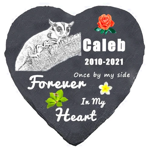 TAOLE Sugar Glider Pet Memorial Gifts, Sugar GliderTombstone or Garden Memorial Stones, Sympathy Gifts for The Loss of a Sugar Glider, Cemetery Decorations, Lost Pets