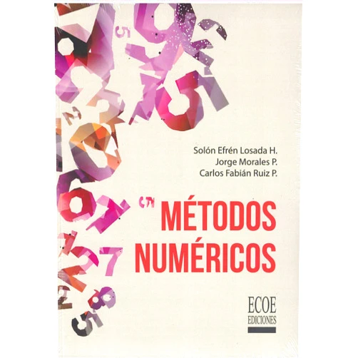 Spanish Edition by unknown author (Author) Métodos numéricos [Paperback] Losada Solón