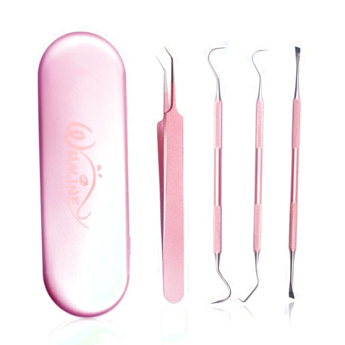 Whaline Weeding Vinyl Tools 4 Pieces Precision Stainless Steel Cricut Weeder Tool with Case, Vinyl Craft Paper Craft Tool Kit for Silhouettes Cameos, Lettering Scraper Hook Spatula Tweezers