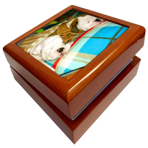 3dRose English Bulldog Powernap, Jewelry Box jb-51655-1