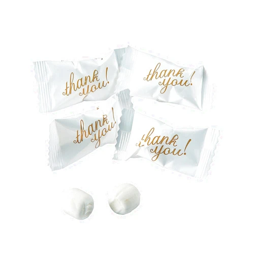 Fun Express Individually Wrapped Thank You Mints, Pack of 108
