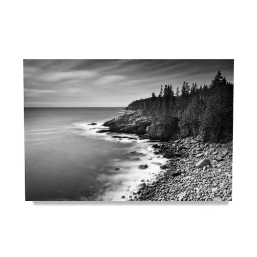Trademark Fine Art Acadia Coastline by Michael Blanchette Photography, 12x19-Inch Canvas Wall Art