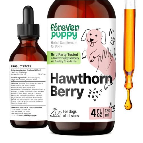 Forever Puppy Hawthorn Berry Tincture for Dogs - Antioxidant Support Drops for Dogs w/Hawthorn Berry - Liquid Heart Health Supplement for Happy Pets - No Preservatives & Artificial Colors - 4 oz
