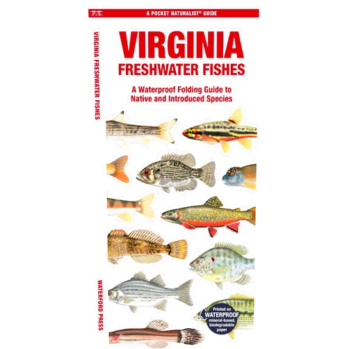 Waterford Press Waterford Press,Jill Kavanagh Waterford Press,Leung Raymond Leung Raymond Virginia Freshwater Fishes: A Folding Guide to Native and Introduced Species (Nature Observation North America)