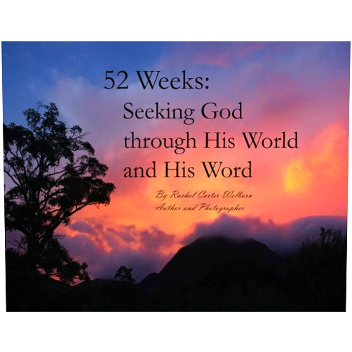 By Rachel Carter Welborn (Author) 52 Weeks: Seeking God through His World and His Word