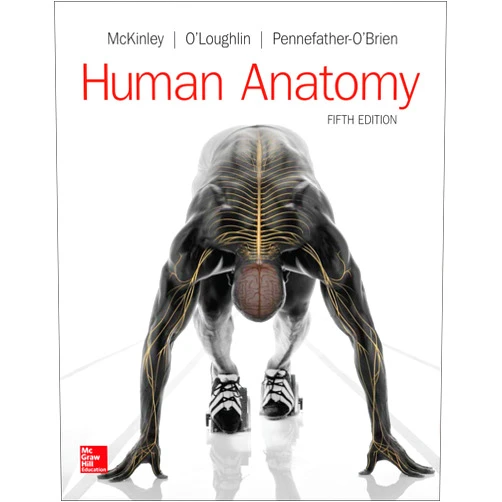 Michael McKinley,Valerie O'Loughlin,Elizabeth Pennefather-O'Brien LooseLeaf for Human Anatomy