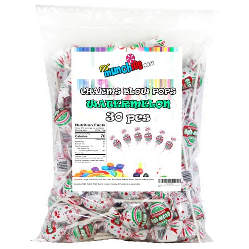 Mr. Munchies Charm Blow Pops, Pack of 30 Watermelon