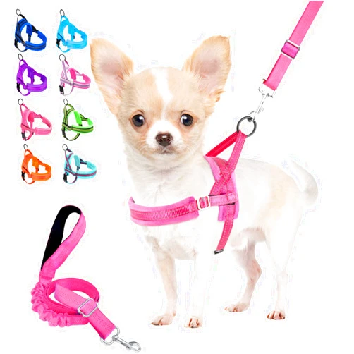 Lukovee Dog Harness and Leash Set, Soft Padded Small Dog Harness, Neck & Chest Adjustable Reflective Vest Puppy Harness with 4ft Lightweight Anti-Twist Dog Leash for Small Dogs (XX-Small, Pink)
