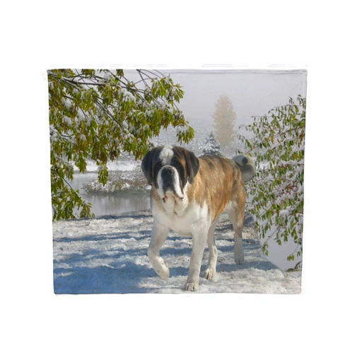 CafePress Saint Bernard Throw Blanket Super Soft Fleece Plush Throw Blanket, 60