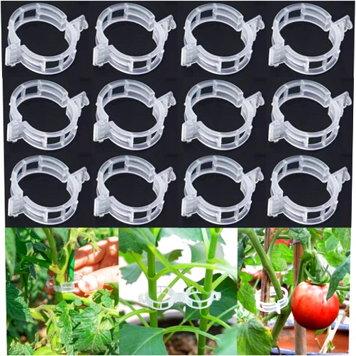 Banhey 100 PCS plant clips, garden clips for climbing plants, plastic bracket clips，tomato clips，grape，vine，vegetable plant Clamps for climbing plants clear Plants to Grow Upright and make plants Healthier
