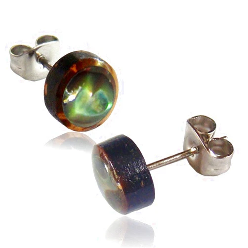 Earth Accessories Organic Shell Stud Earrings for Women - Stud Earring Set surrounded by Coconut Shell with Abalone, Mother of Pearl, and More