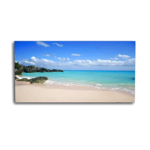 TWSLFFAXDUS Wall Art for Living Room bermuda beach pink beachs and pictures Print On Canvas Wall Decor Painting Posters Office Modern Home Decoration 20x40 inches Ready to Hang