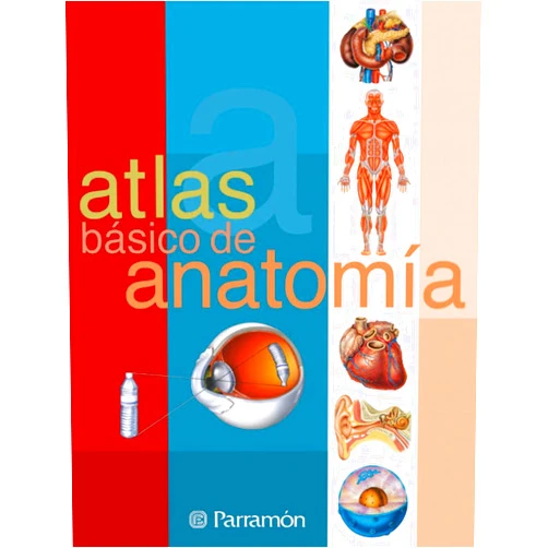 Spanish Edition by Adolfo Cassan (Author), Antonio Muñoz Tenllado (Author) Atlas básico de anatomía (Spanish Edition)