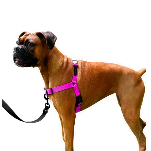 ShawnCo Dream Walk No-Pull Dog Harness- Adjustable, Comfortable, Easy to Use Pet Halter to Help Stop Pulling for Small, Medium and Large Dogs (Orchid, M)