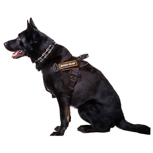 DINGO GEAR WWW.DINGOGEAR.COM 1977 DINGO GEAR Multifunctional Harness for Dog in Work, Guard Dog Training, K9 and Ipo, Cobra System Handmade Black S03197, XL