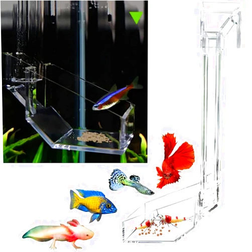 Kunze Land Shrimp Fish Feeding Dish, Aquarium -Sky Restaurant- Betta Feeding - Prevent Food Spilling, Fish Feeder, Also Easy to Clean Up The Food Left Over, African Feeding, Dwarf Frogs Feeding (M)