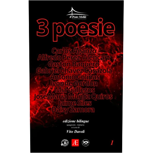 Italian Edition by Autori Vari (Author), Antonio Colinas (Author), Ivonne Gordon (Author), Mía Gallegos Domínguez (Author), Vito Davoli (Editor, Translator), Carlos Aganzo (Contributor), Alfredo Pérez Alencart (Contributor), Gastón Baquero (Contributor), Gabriel Chávez Casazola (Contributor) & 5 more 3 POESIE: Volume 1 (Il Ponte Mobile / El Puente Móvil)