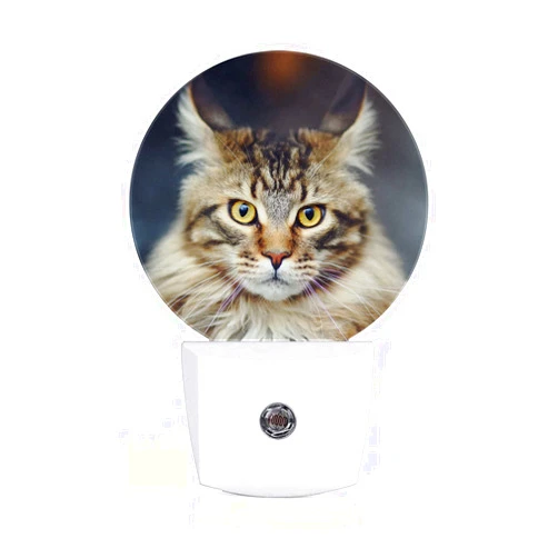 Axayaz Cat LED Night Light Cute Animal Kitten Cats Furry Face with Grey Feather Black Yellow Eyes Dusk to Dawn Round Lamp Auto Sensor for Bathroom Hallway Living Room