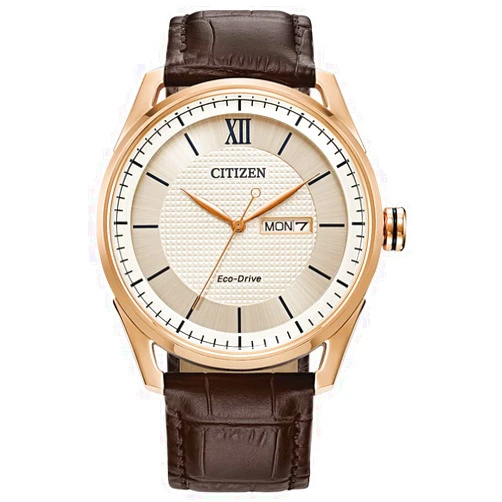 Citizen Men's Classic Eco-Drive Watch with 3-Hand Day and Date