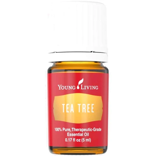 Young Living Tea Tree (Melaleuca Alternifolia) Essential 5ml Oil by Young Living Essential Oils