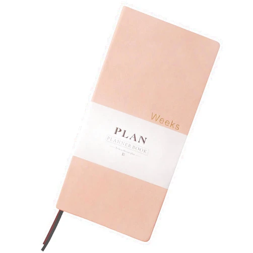 Fromthenon PU Leather Weekly Plan Portable Planner Year Month Week Mini Slim Notebook Journal Schedule For Traveler Student Office (Pink)