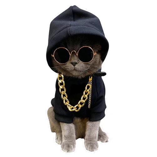 QWINEE 3Pcs Dog Hoodie Cat Apparel Dog Custume Set with Necklace and Sunglasses Pet Clothes for Puppy Small Medium Dogs Cats Multicolor XL
