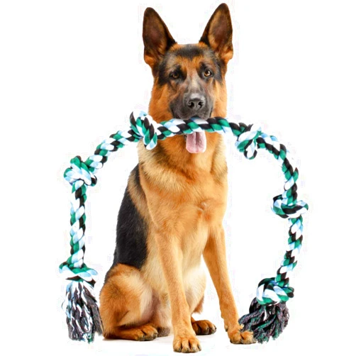 Pacific Pups Products Giant Dog Rope Chew Toys for Extra Large Dogs - 42 Inch, 6 Knot Tough Benefits Non-Profit Animal Rescue - Indestructible Toy for Aggressive Chewers and Large Dog Breeds
