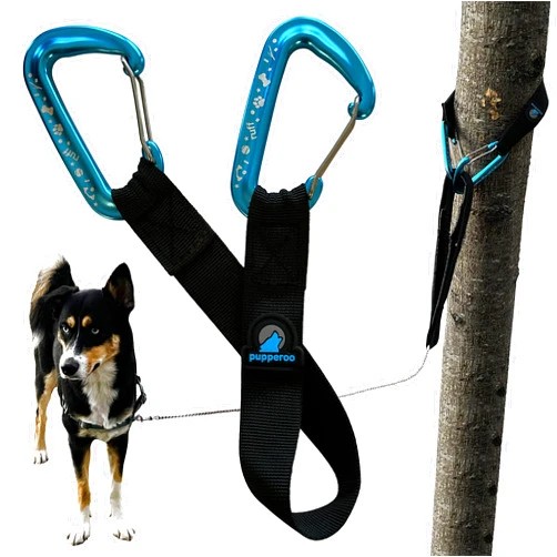 Pupperoo Outdoor Adventure Dog Leash Tether (Blue)