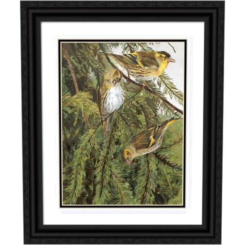 ArtDirect Léo-Paul Robert 15x18 Black Ornate Frame and Double Matted Museum Art Print Titled: Collection (1880)