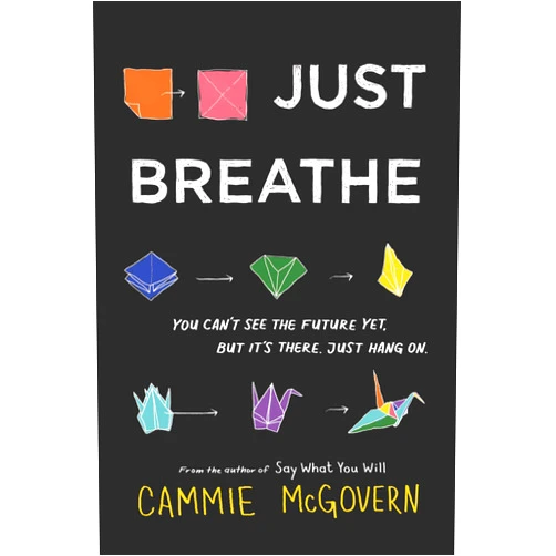 Cammie McGovern Just Breathe