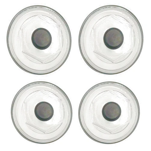 VREISIP K71-148-00 Oil Bath Dust Caps for Dexter 10K HD, 12K, 15K 4.0
