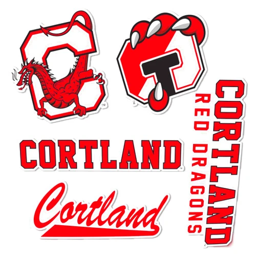 Desert Cactus SUNY Cortland Sticker State University of New York Red Dragons Vinyl Decals Laptop Water Bottle Car Scrapbook Sheet T2 (Type 2)