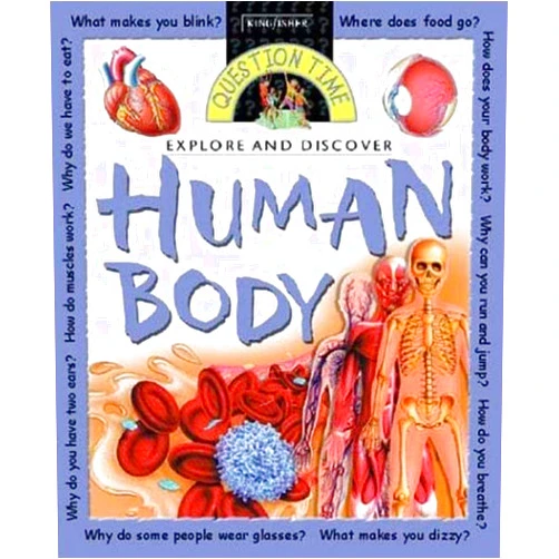 Angela Wilkes Explore and Discover: Human Body (Question Time)