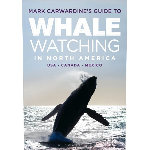 Mark Carwardine's Guide to Whale Watching in North America