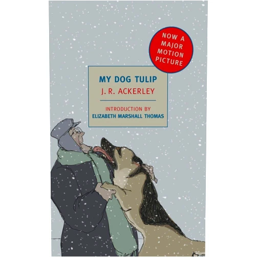 J. R. Ackerley,Elizabeth Marshall Thomas My Dog Tulip: Movie tie-in edition (New York Review Books Classics)