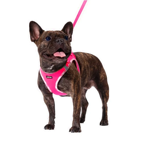 AMTOR Small Dog Harness with Leash Set, No Escape Easy Walk Puppy Harnesses for Training Walking, Step-in Reflective Soft Dogs Vest for XS S Medium Extra-Small Large Sized Dog(Fuchsia,S)