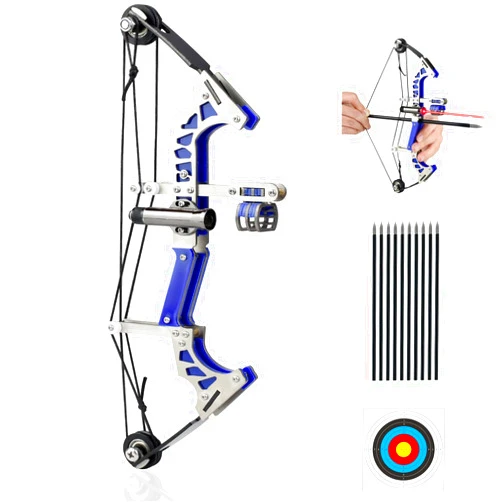 SQLWYLAT Mini Compound Bow and Arrow Set for Age 14+, Cool Gadget for Man & Women, Archery Hunting Bow for Target Shooting Hunting Games Relieve Pressure Birthday Festival