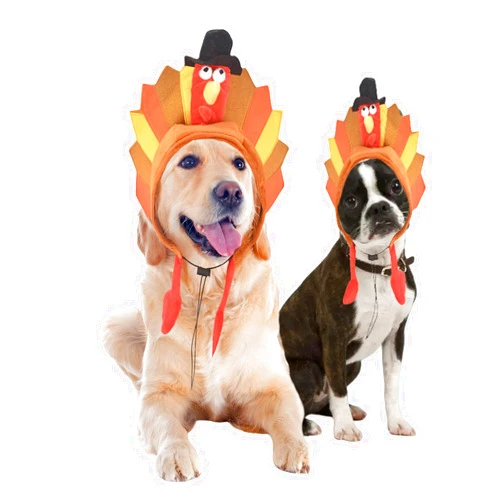 MuYaoPet Thanksgiving Dog Turkey Costume Hat Cap,Halloween Pet Cat Costume Outfit Cosplay for Small Medium Large Dogs,Matching Dog and Owner Hat Outfits (Turkey, Small)
