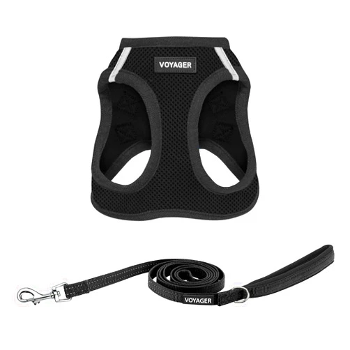 Best Pet Supplies Voyager Step-in Air All Weather Mesh Harness and Reflective Dog 5 ft Leash Combo with Neoprene Handle, for Small, Medium and Large Breed Puppies by Best Pet Supplies - Set (Black), M