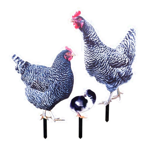 SaiDian 1Set Acrylic Chicken Statues Realistic Chicken Family Animal Garden Statues for Yard Art Lawn Rustic Garden Outdoor Décor
