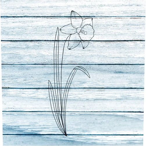 Generic March Daffodils Minimalist Birth Month Wildflowers Wall Decals - Minimalist Wall Decals - Hand Drawn Minimalist Wall Decor Cars Kids Room Girls Room SMSV13462