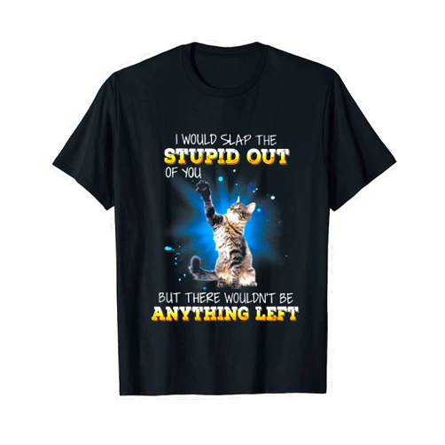 I Would Slap The Stupid Out Of You But There Wouldn't Be T-Shirt