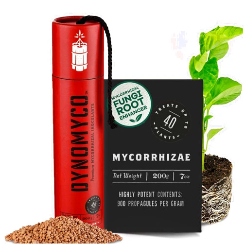 DYNOMYCO Granular Mycorrhizal Fungi Inoculant, 200g / 7oz – Boosts Root Growth, Yields & Nutrient Uptake – 900 Propagules/g, Concentrated Granules, & OMRI Listed – Biofertilizer for Plant Growth
