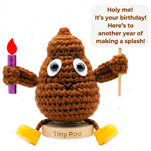 Got you a little something Birthday Gift for Women Men - Positive Poo Funny Crochet with 30 Hilarious Bday Cards | Cool Humor Gag Gift for Friends Coworker Sister Brother | Happy Birthday Party Decor Silly Present for Him Her