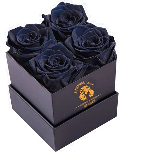 OTAOATO Preserved Roses in a Box - Fresh Flowers - Forever Rose - Birthday Gifts for Women - Preserved Roses, Gifts for Mom/Girlfriend/Wife/Grandma