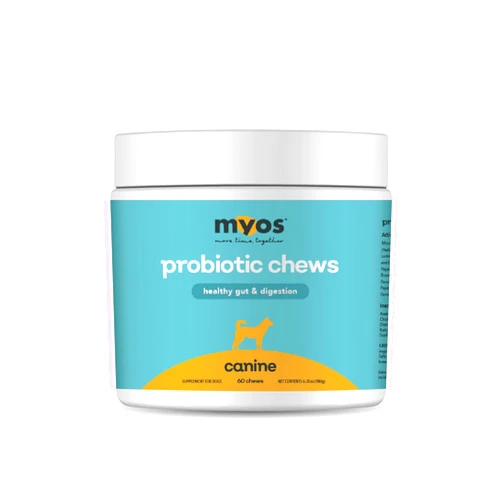 MYOS CANINE MUSCLE FORMULA MYOS Probiotic Chew for Dogs - Daily Digestive Support, Promotes Complete Gut Health, Aids Digestion, Enhances Nutrient Absorption, Supports Healthy Stool - All-in-One Chewable Supplement