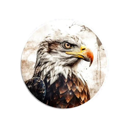TopPacific Retro Round Sign Bald Eagle Tin Metal Sign Novelty Garage Bar Kitchen Rule Humorous Wall Decor Vintage Home Family Friend Birthday Gift Iron Painting Tin Signs 12 X12 IN