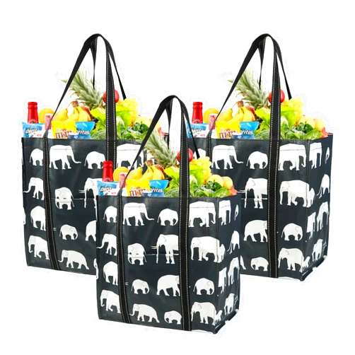 BeeGreen Large Reusable Grocery Bags Heavy Duty with Hard Bottom Foldable Cute Shopping Totes for Groceries