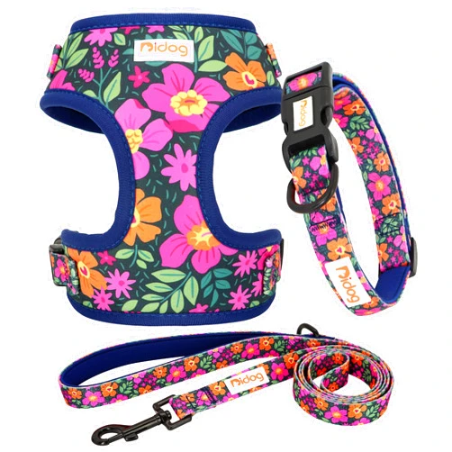 Didog No Pull Dog Harness Collar and Leash Set, Cute Pattern Puppy Dog Harness with Adjustable Collars and Leash, Soft Padded Air Mesh Vest for Small Dogs Walking Training(Flower, S)