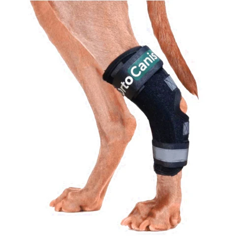Ortocanis Hock Splint Brace for Dogs- immobilises. Protects. Supports The Ankle - Removable Flexible splints.